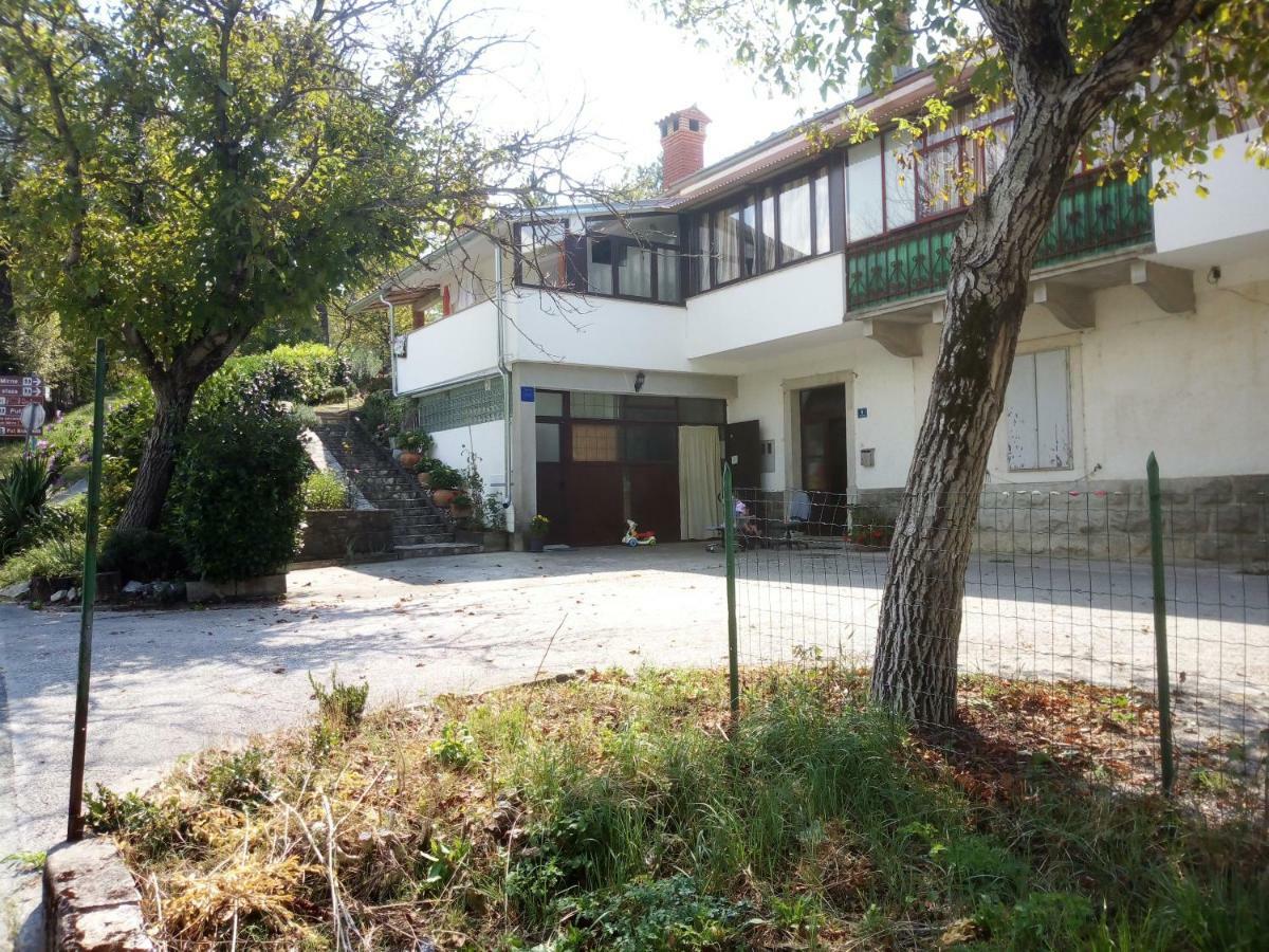 Studio Apartman Bari Buzet Buitenkant foto