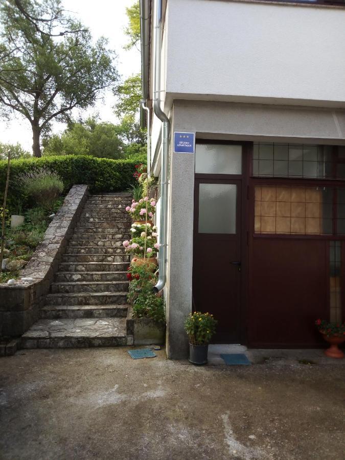 Studio Apartman Bari Buzet Buitenkant foto
